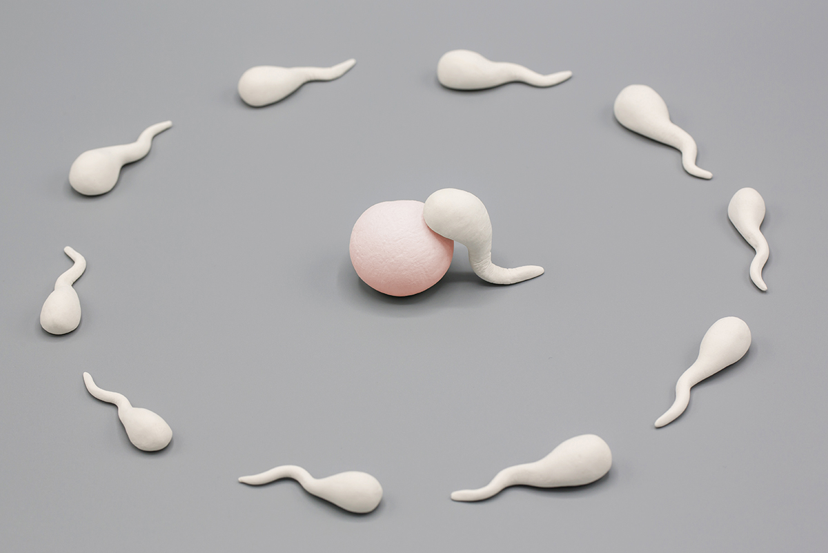 Sperm Dondurma || Medicana Konya Tüp Bebek Merkezi