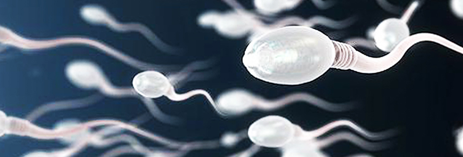 Erkekte Sperm Elde Etme || Medicana Konya Tüp Bebek Merkezi̇